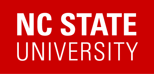 Rongmon Bordoloi Named a 2025-26 NC State University Faculty Scholar